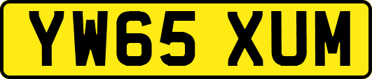 YW65XUM