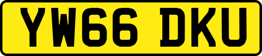 YW66DKU
