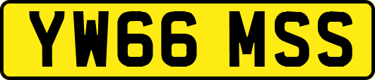 YW66MSS