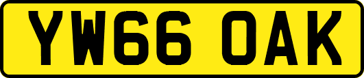 YW66OAK