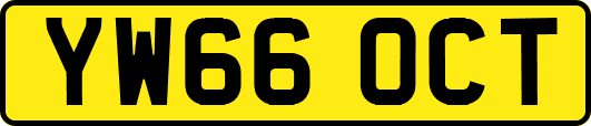 YW66OCT