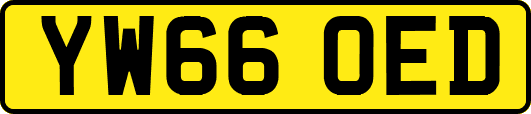 YW66OED
