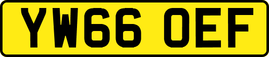 YW66OEF