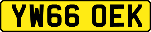 YW66OEK