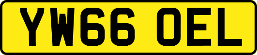 YW66OEL