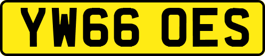 YW66OES