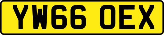 YW66OEX