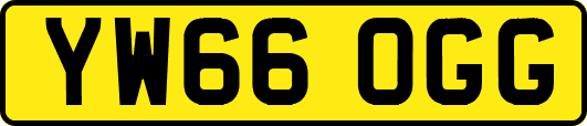 YW66OGG