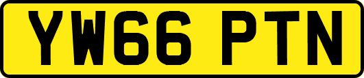 YW66PTN