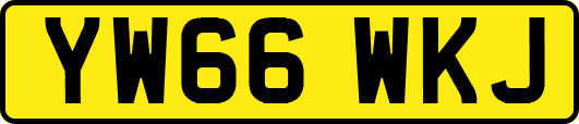 YW66WKJ