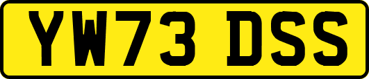 YW73DSS