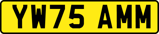YW75AMM