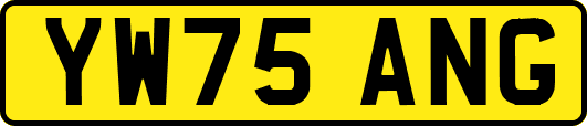 YW75ANG