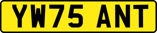 YW75ANT