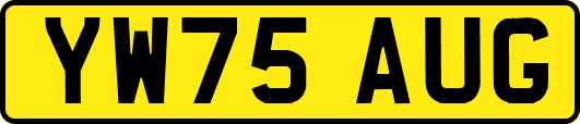 YW75AUG