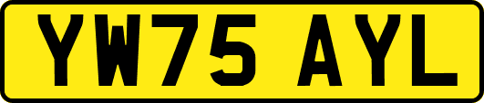 YW75AYL