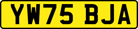 YW75BJA