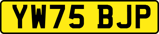 YW75BJP