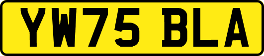 YW75BLA
