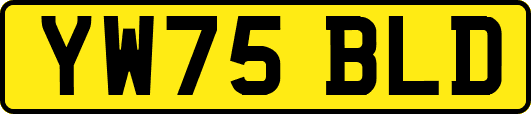 YW75BLD
