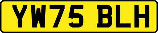 YW75BLH