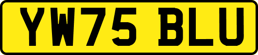 YW75BLU
