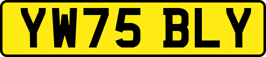 YW75BLY