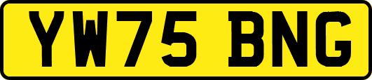 YW75BNG