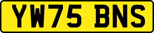 YW75BNS