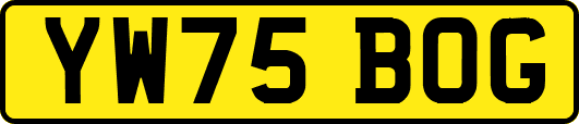 YW75BOG