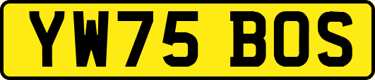 YW75BOS