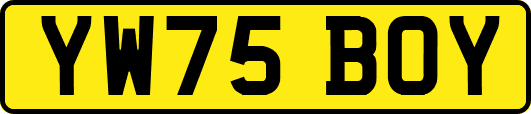YW75BOY