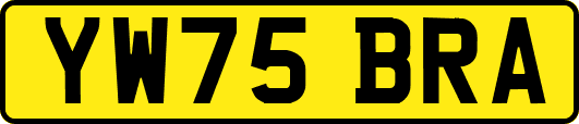 YW75BRA