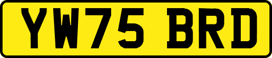 YW75BRD