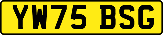 YW75BSG