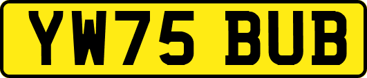 YW75BUB