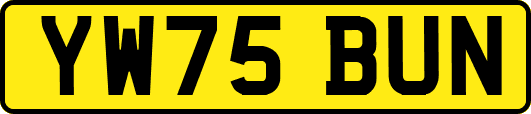 YW75BUN