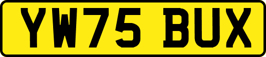 YW75BUX