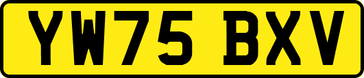 YW75BXV