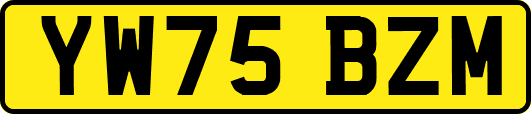 YW75BZM
