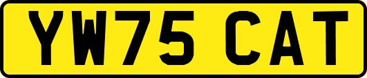 YW75CAT