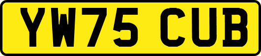 YW75CUB