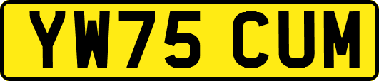 YW75CUM