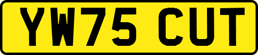 YW75CUT