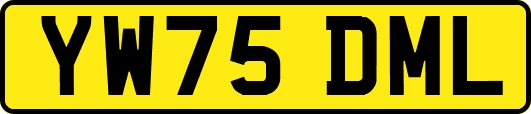 YW75DML