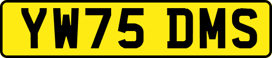 YW75DMS