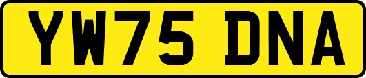 YW75DNA