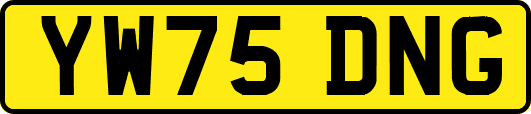 YW75DNG