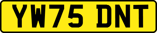 YW75DNT