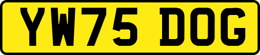 YW75DOG